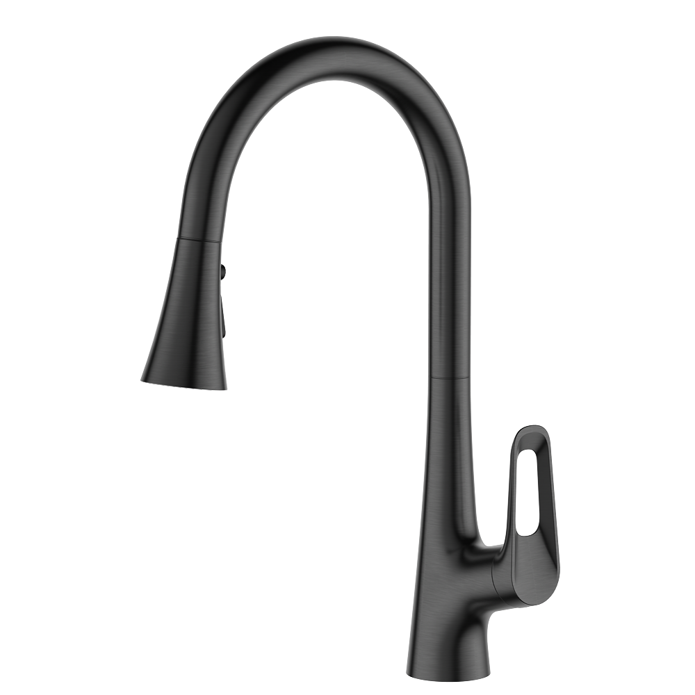 Mitigeur à levier unique extractible pour cuisine - coloris Anthracite