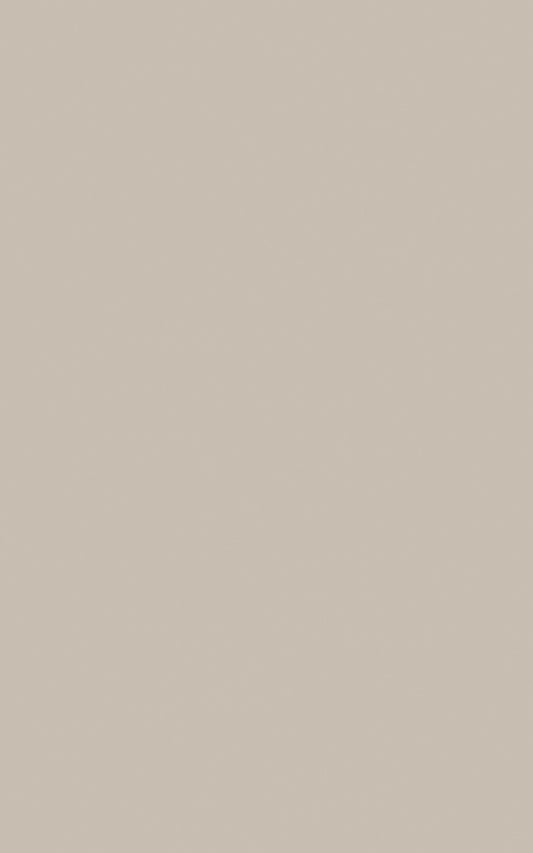 Panneau mural en résine pour pièces humides - Coloris Beige Nature  panneau mural décoratif pour salle de bain