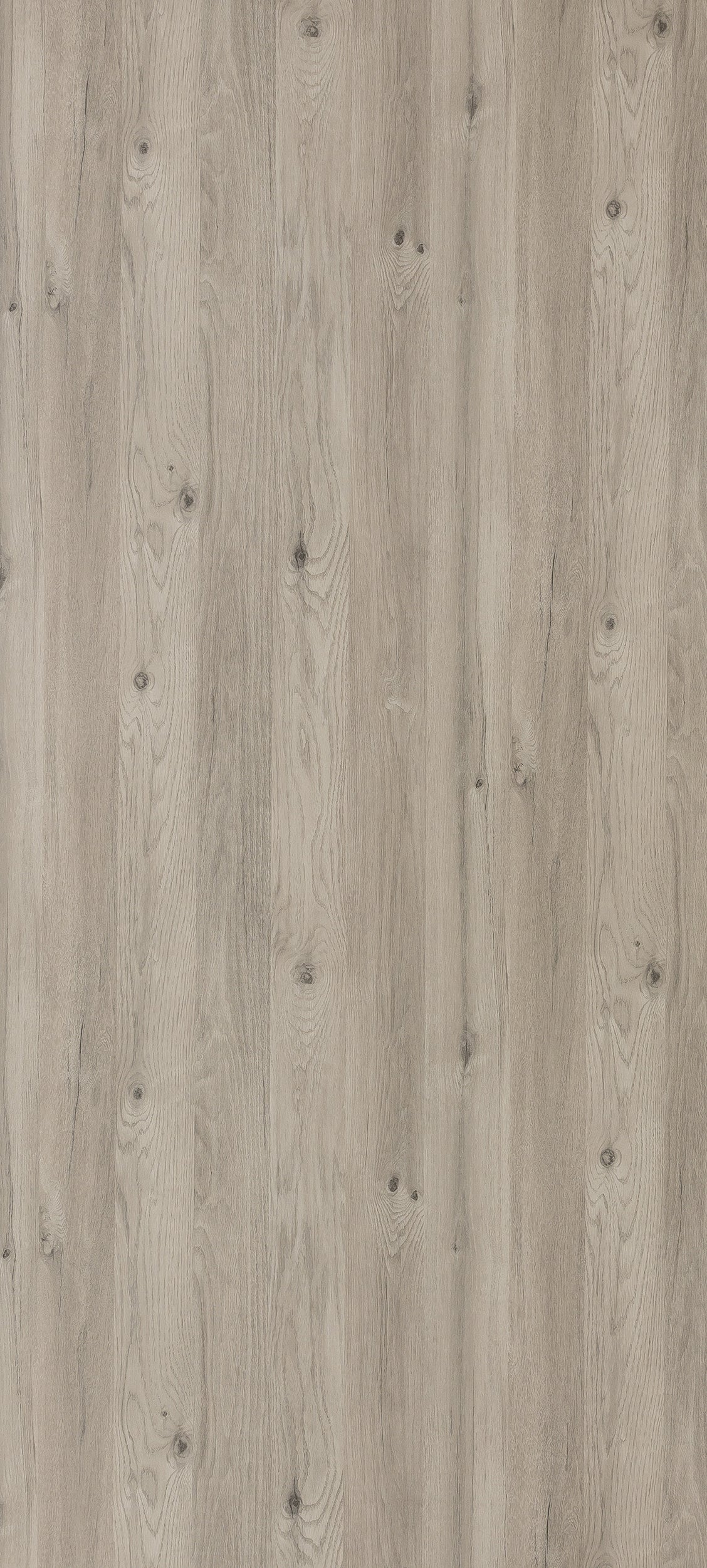 Panneau compact décoratif - Utilisation en intérieur & salle d'eau - Chêne d'Argent