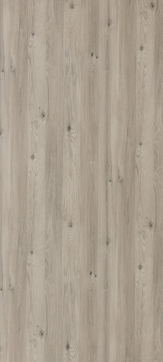 Panneau compact décoratif - Utilisation en intérieur & salle d'eau - Chêne d'Argent